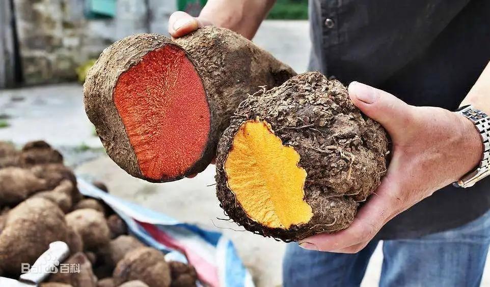 旗袍经典面料,永不过时的旗袍面料