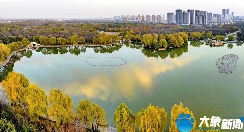 行走河南读懂中国畅游洛阳,行走河南读懂中国洛阳考古