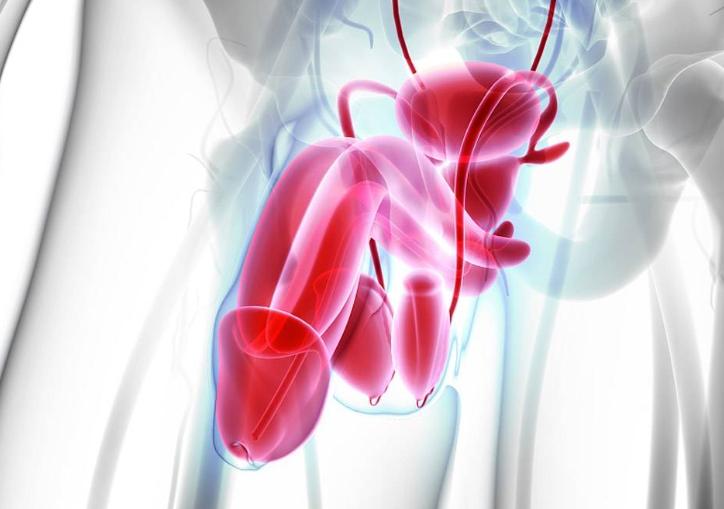 年纪大了一定会发生勃起功能障碍？应如何合理用药？听听专业分析