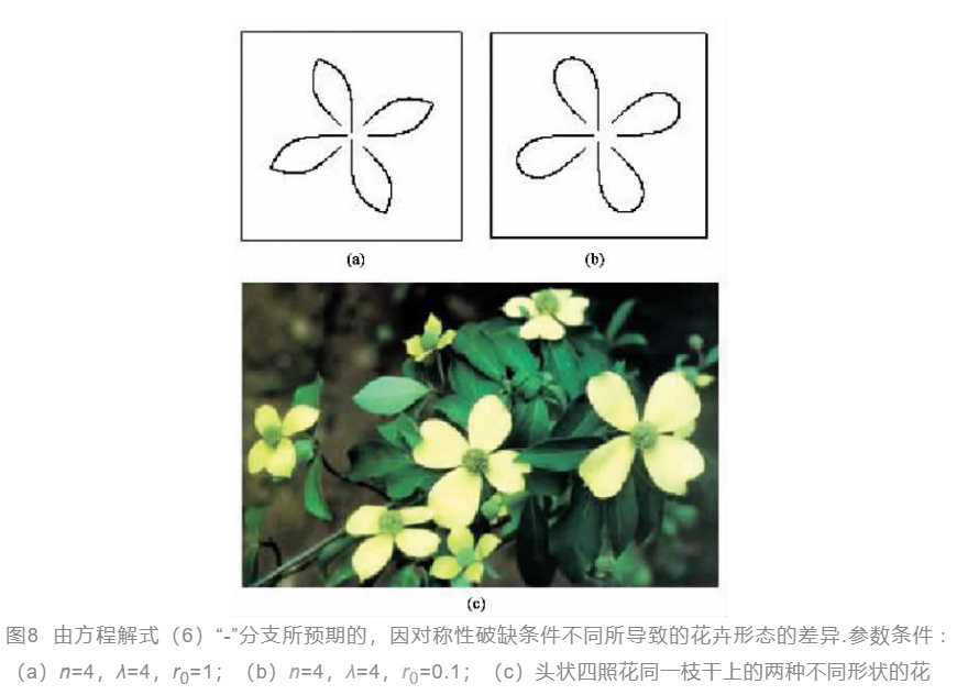 美丽是形容人还是形容物,美丽是形容什么的