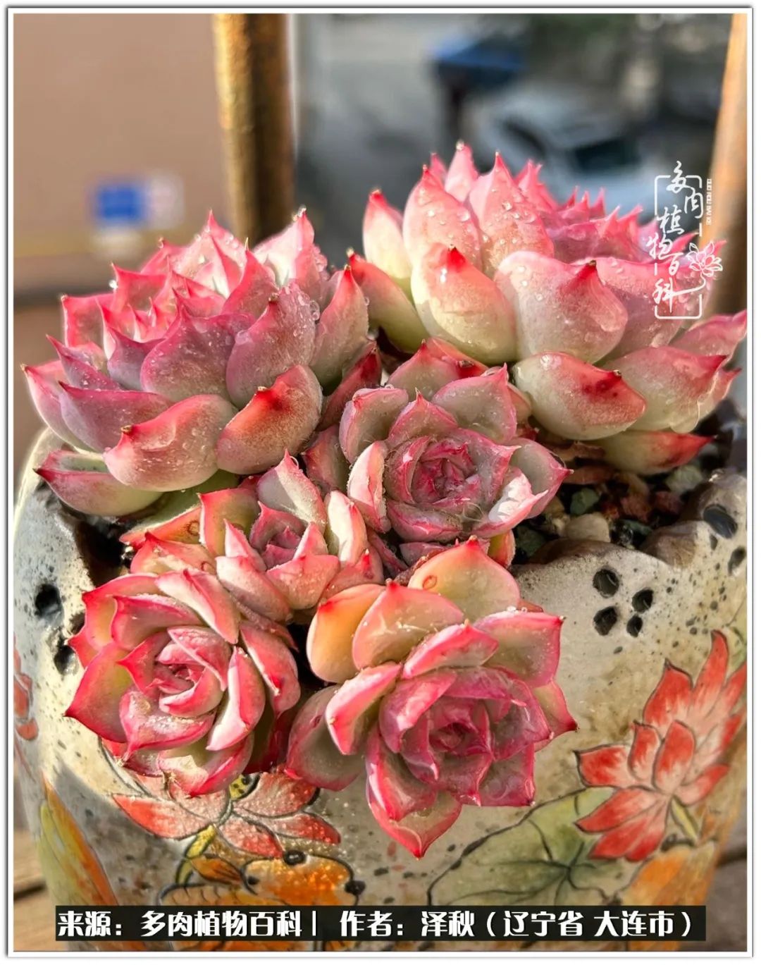 四季轮回之秋天,四季轮回之冬季