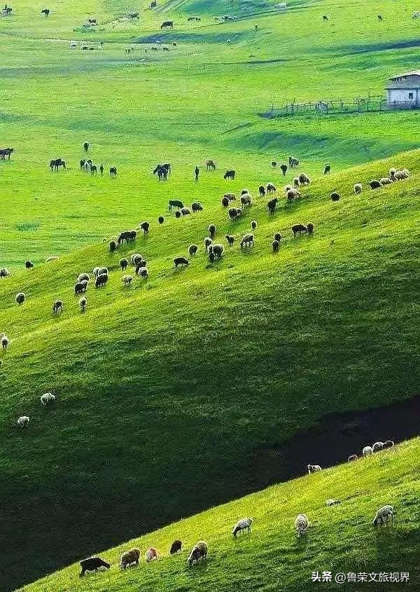 大美新疆的风景有哪些,大美新疆北疆美