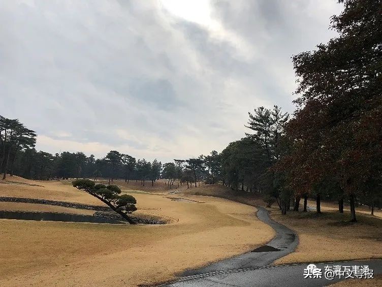 杆扫风雨送虎归，洞开飞雪迎兔到——记日本辽宁总商会高球队巡礼