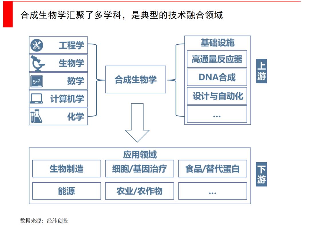 如何投资合成生物学,合成生物学投资的三大维度