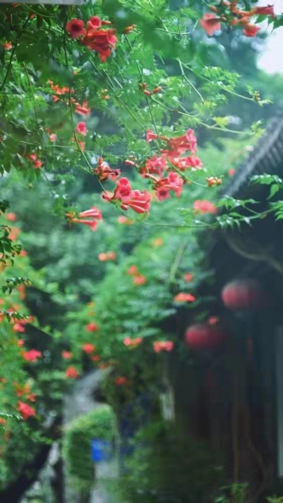 2020年高考作文在线竞写,试写2024年语文高考作文