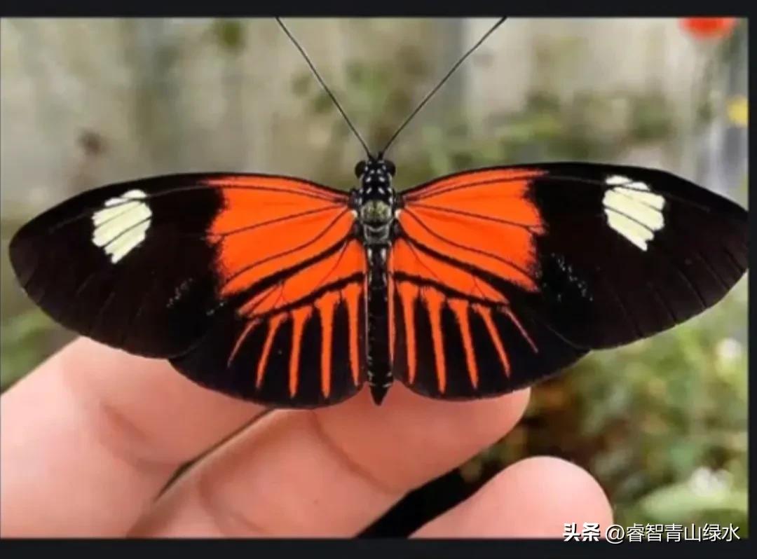 让我痴，让我醉，让我爱你没商量。