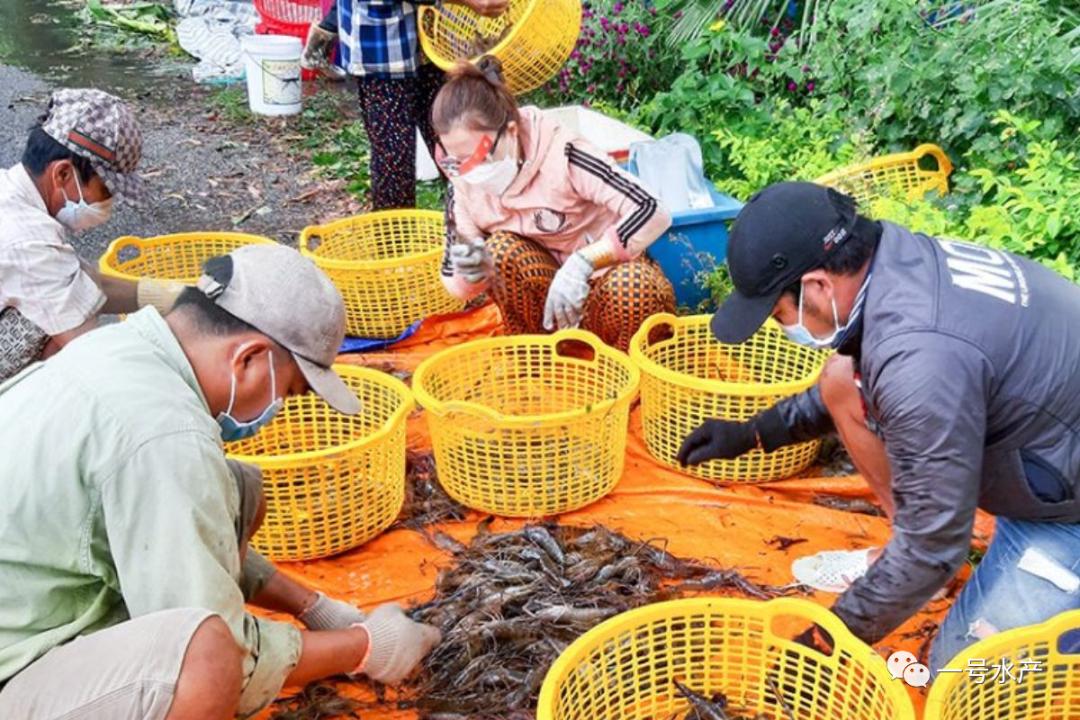 姘翠骇鑲犻亾鑿岀兢骞宠　,姘翠骇鑲犻亾鑿岀兢