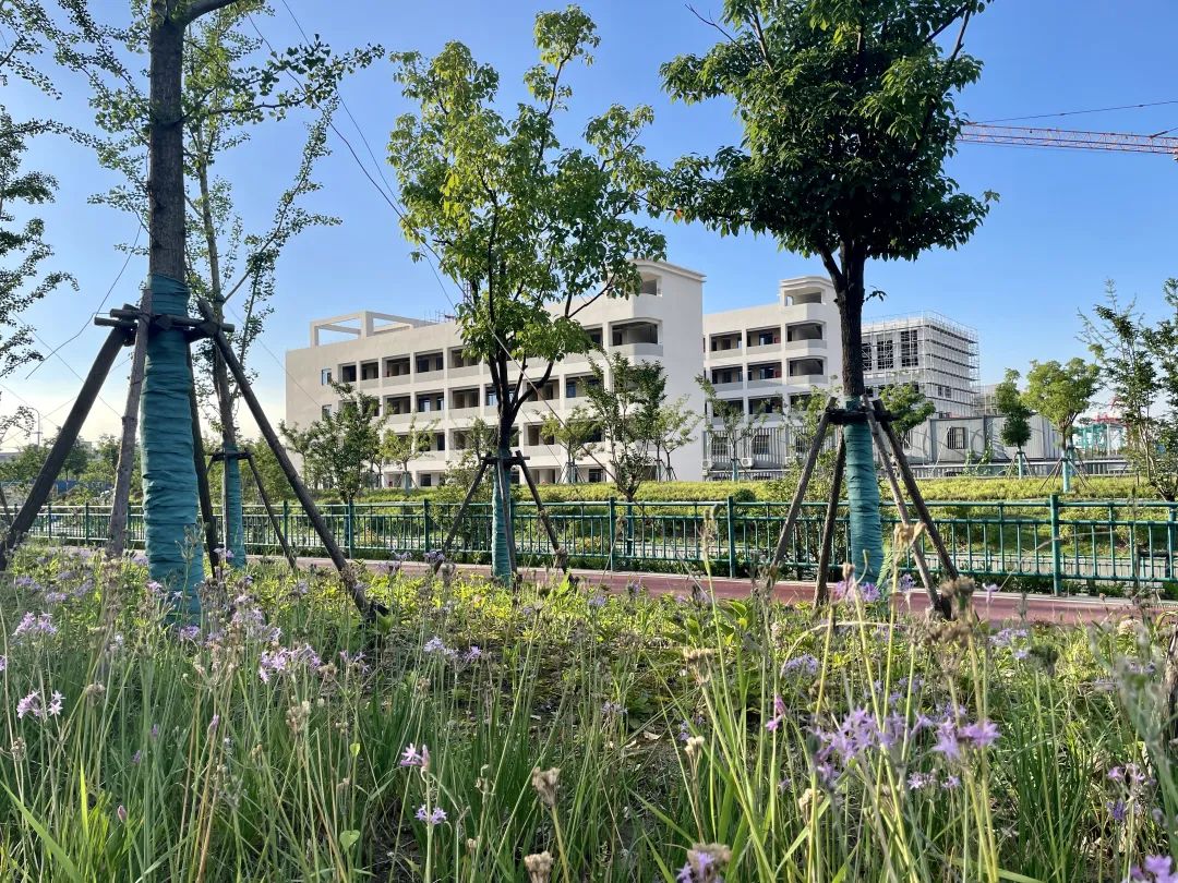 新江湾小学丶初中丶高中简介和校园实景照片！学校对口小区一栏