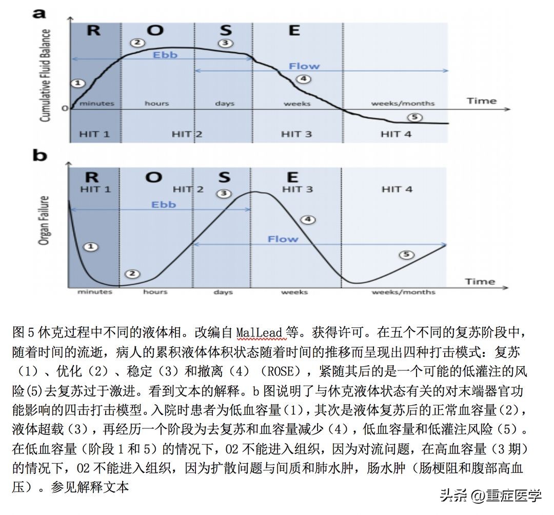 脓毒性休克护理诊断和措施,脓毒性休克的补液原则是什么