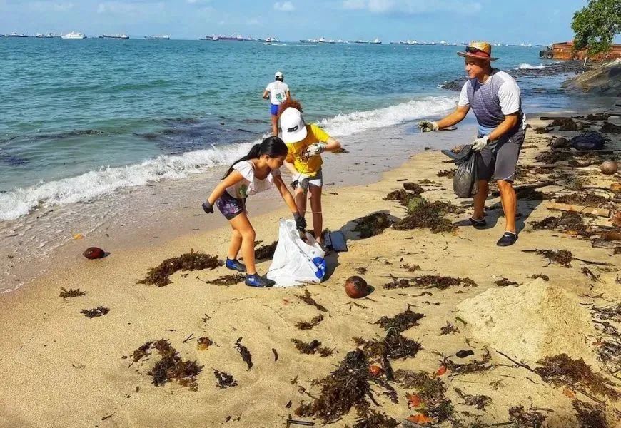 新加坡遛娃免费景点推荐一下,新加坡周末遛娃