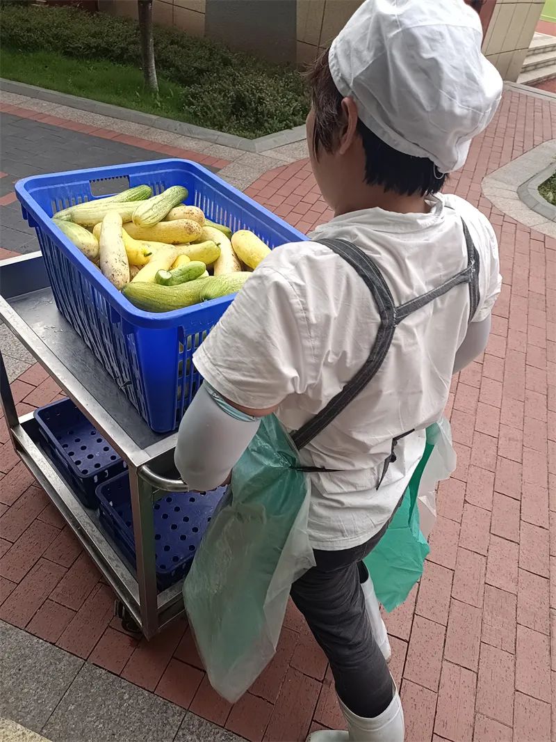 「重庆市六十五中学」劳动砺心志，实践促成长