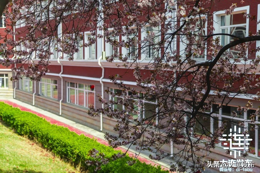 雷锋学校第一课,沈阳市雷锋学校大讲堂