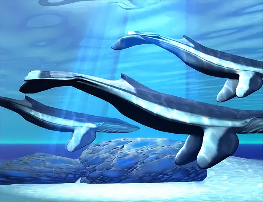 蓝鲸有多大它会吃人吗,蓝鲸是不是海洋里最大的生物