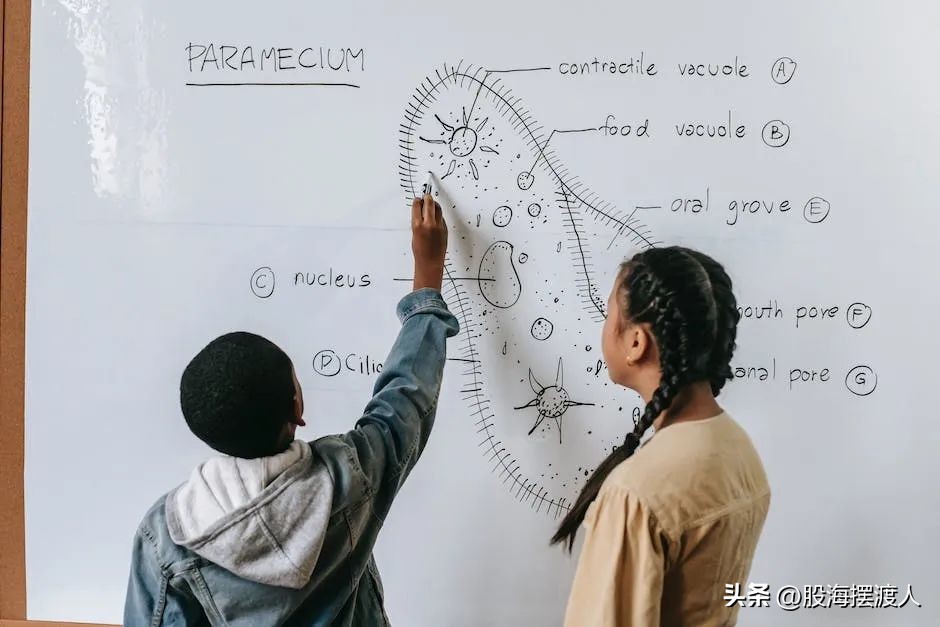 中国股市低迷最主要的原因,为什么现在股市这么低迷