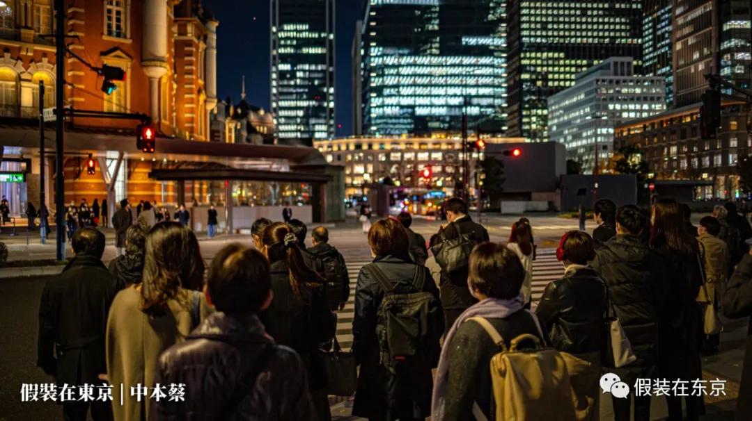 365张照片回顾,365张相片