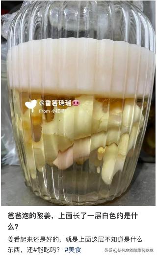 你可能不信：我爸在家里泡姜的图，能气死五个博士