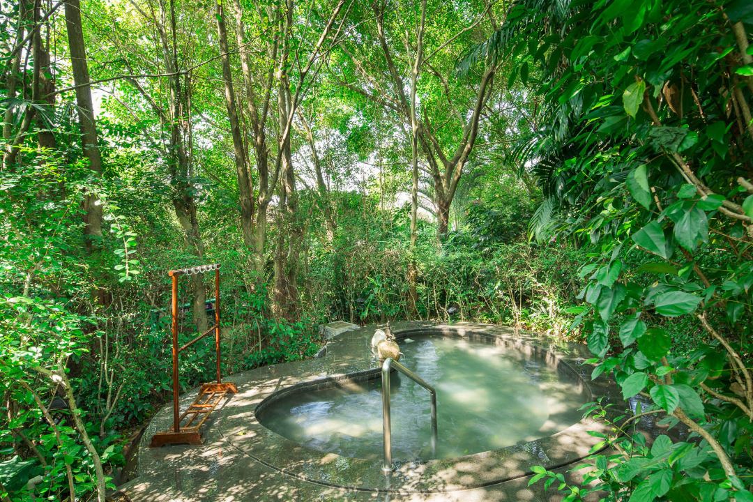 广东温泉宾馆温泉介绍,广东温泉酒店的温泉哪几家是真的