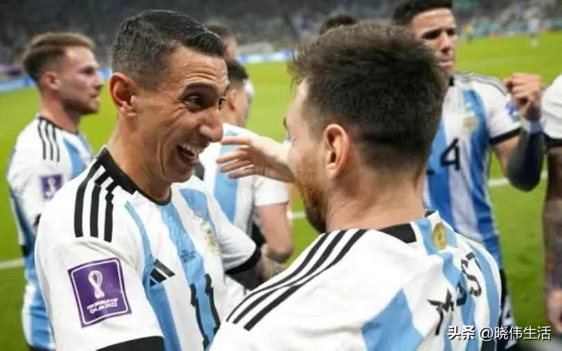 小白看足球指南,小白看大乐透