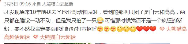不高的高高和他不白的老婆白云——91年出生的童颜女神大熊猫白云