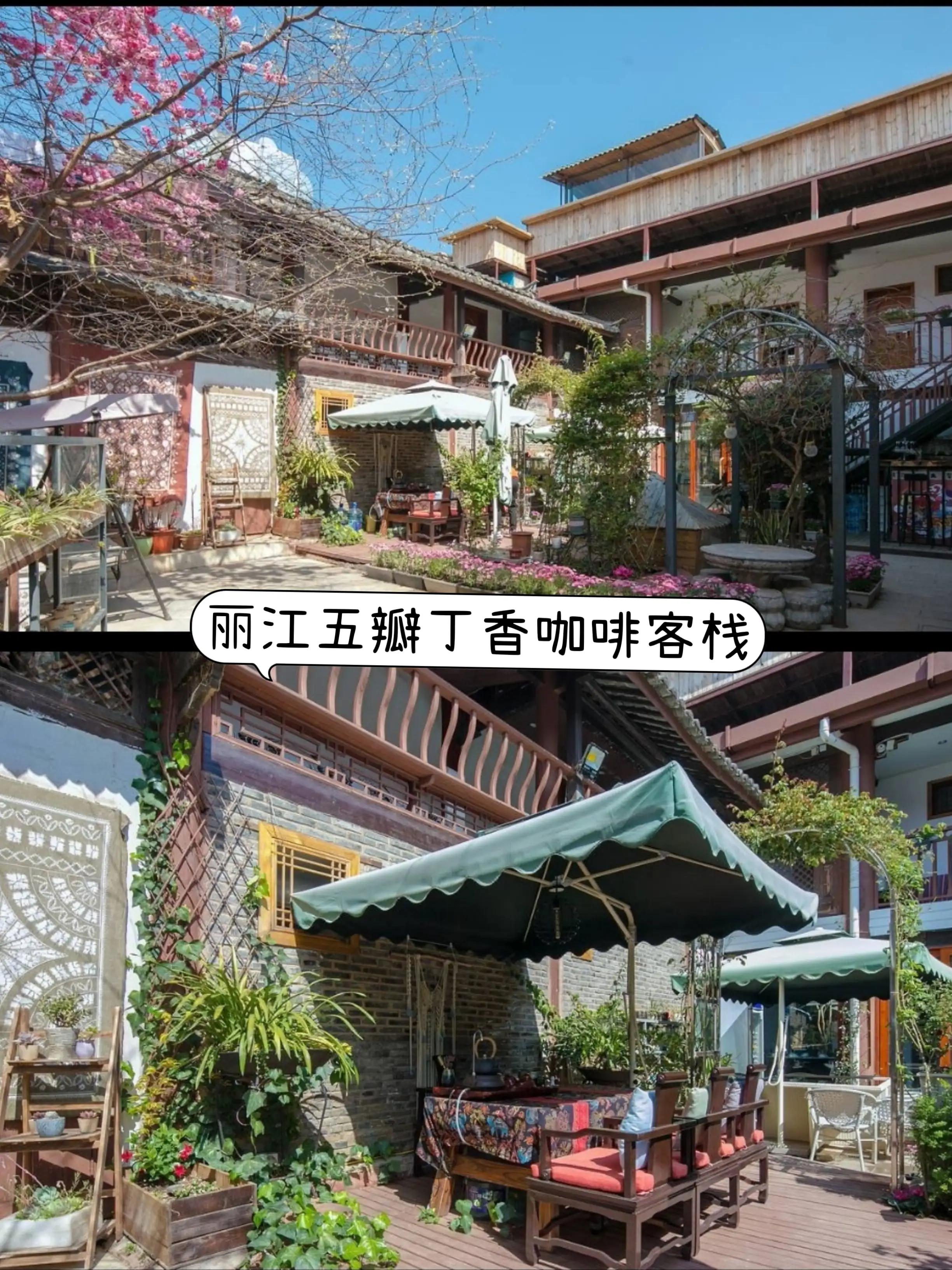 关于丽江那些10元左右的小客栈