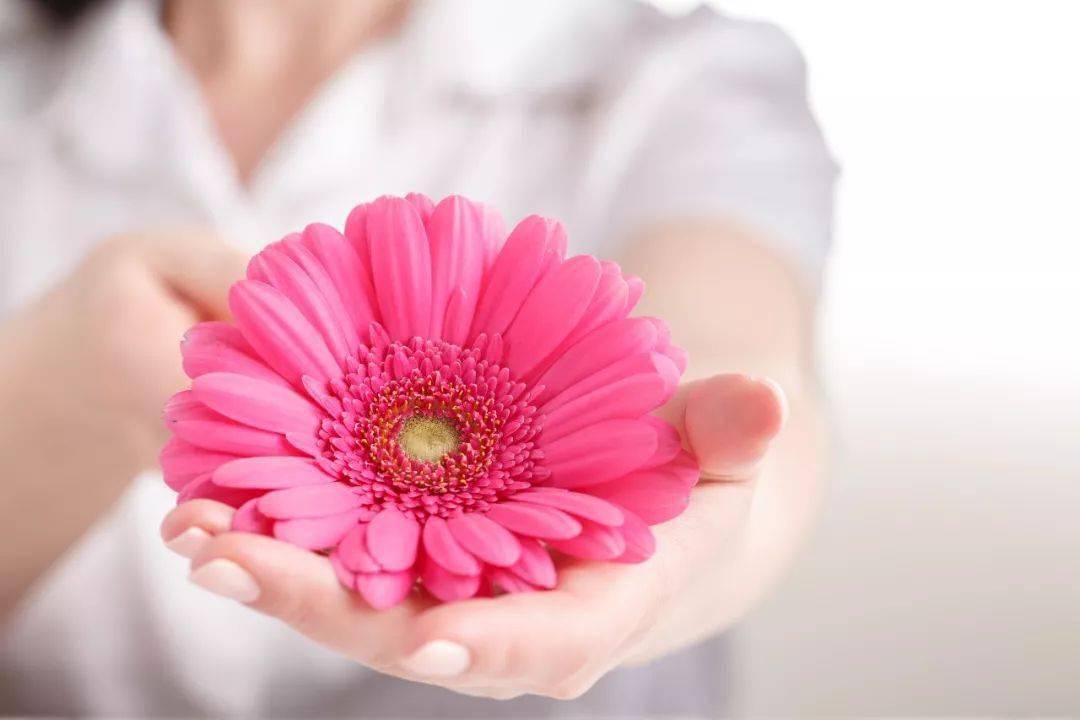 女性阴道外器官结构解剖,女性阴道的12个常识