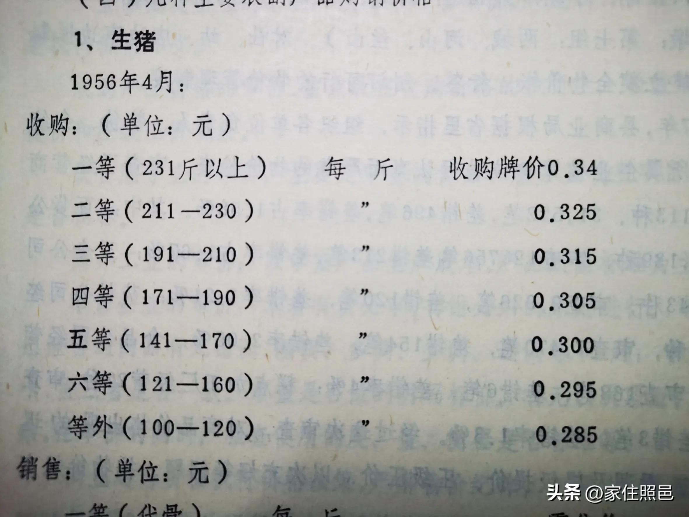 日照有什么好玩的地方,日照绿茶价格表