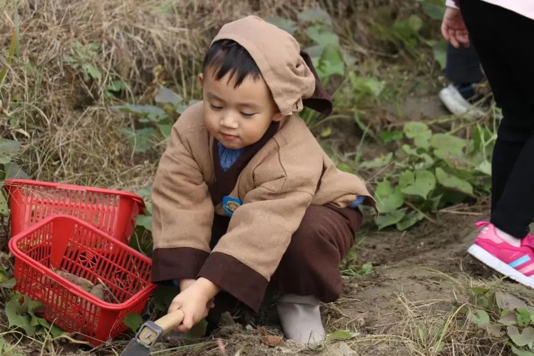 杭州临平粉黛乱子草花海地址,杭州临平30余亩粉黛花海梦幻上线