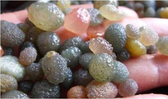 *疆新**10个捡石头腹地曝光！有一种致富方式叫去*疆新**捡石头！