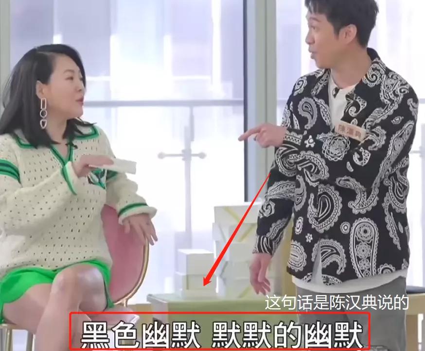 小s复出自曝大s,小s复出演戏