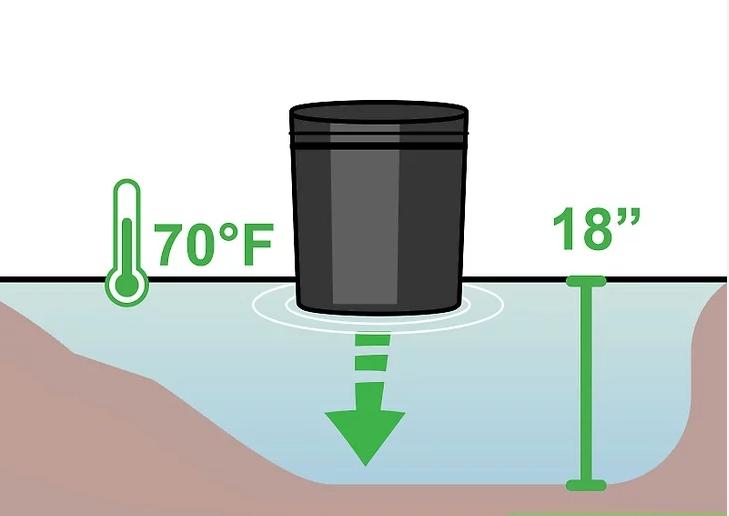 怎么种植莲花盆栽,如何种植莲花芋头