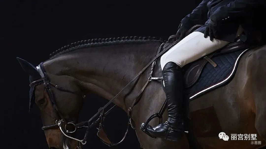 丽宫别墅样板房,丽宫别墅项目