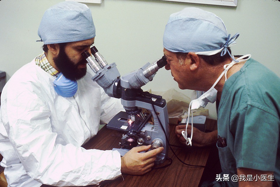 艾滋病诊断标准2008,了解艾滋病毒的所有知识