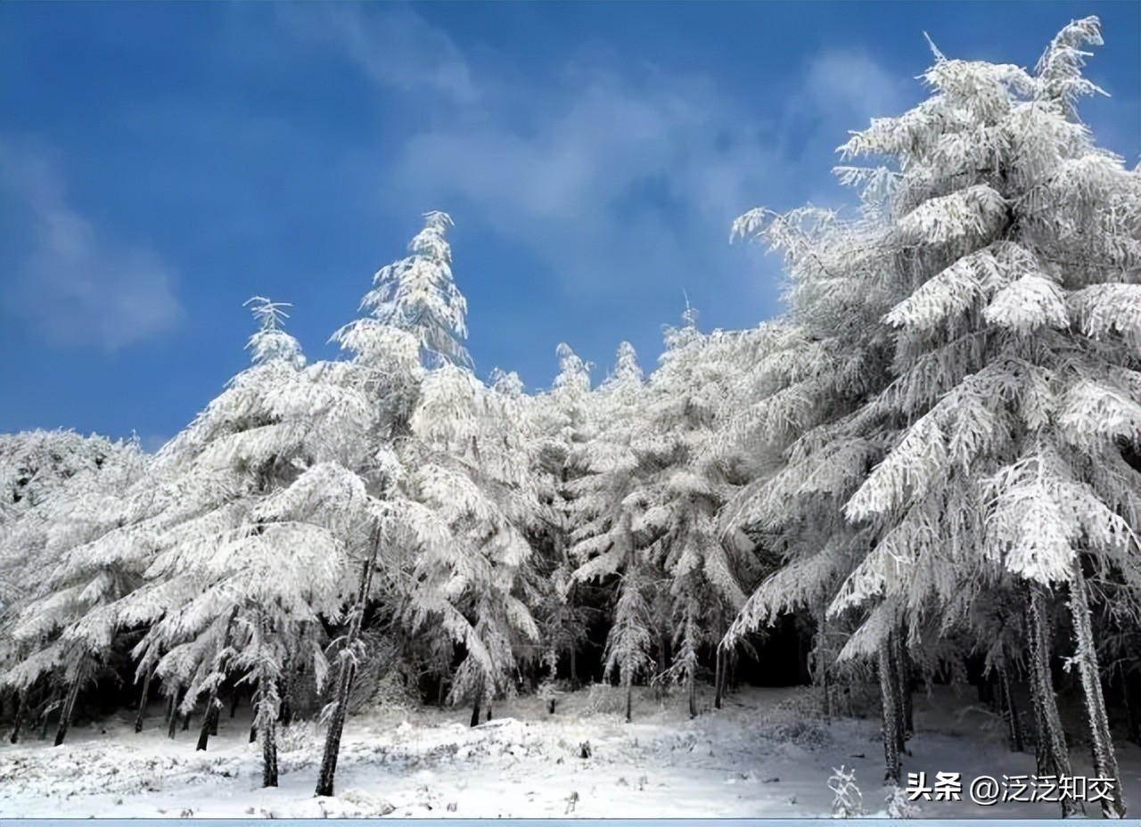 闲看“风花雪月”扰你心，坐听“雪月风花”诉断情
