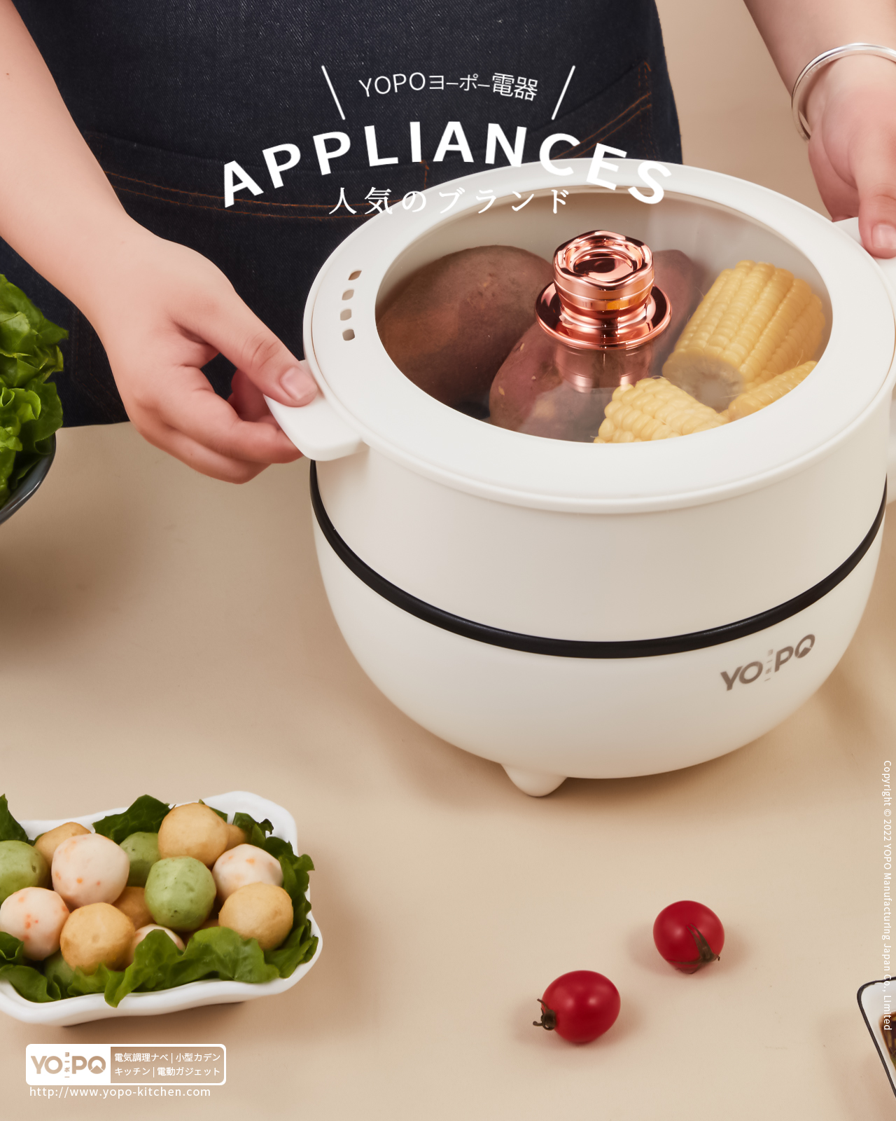 现代一体家用不锈钢电炒锅,厨房迷你小电锅