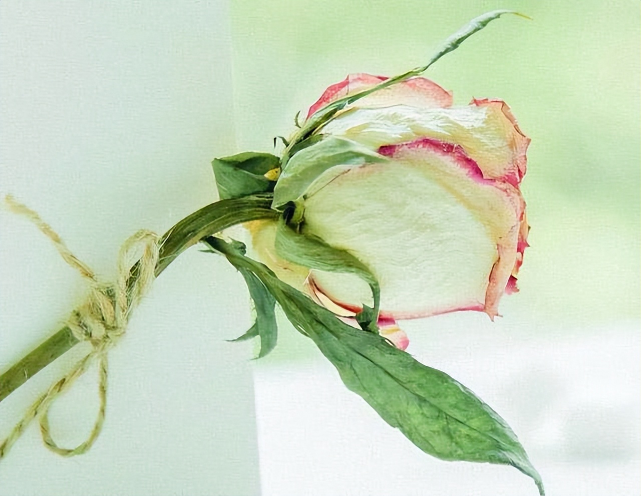 与人交往最怕遇到小人,远离不懂人情往来的人