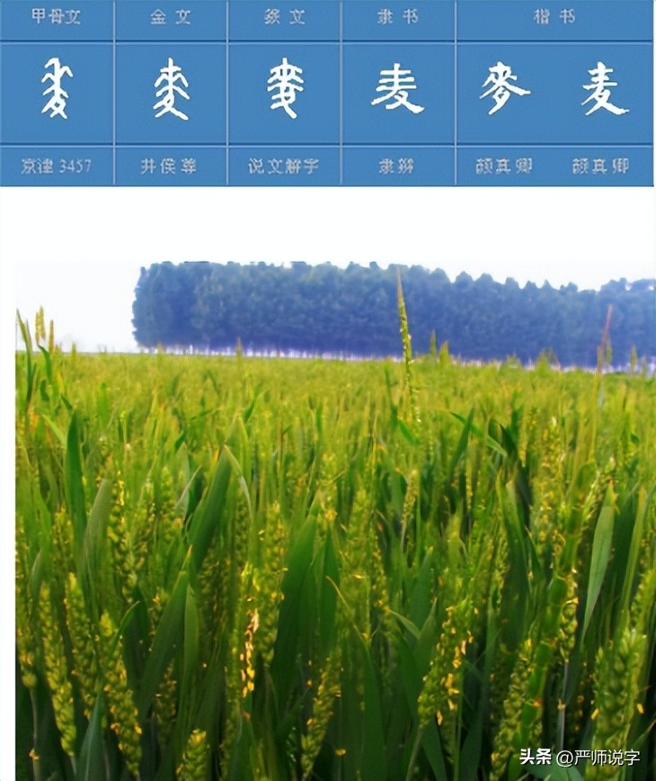 汉字的偏旁部首大全完整版带朗读,汉字偏旁部首名称表最齐全最完整