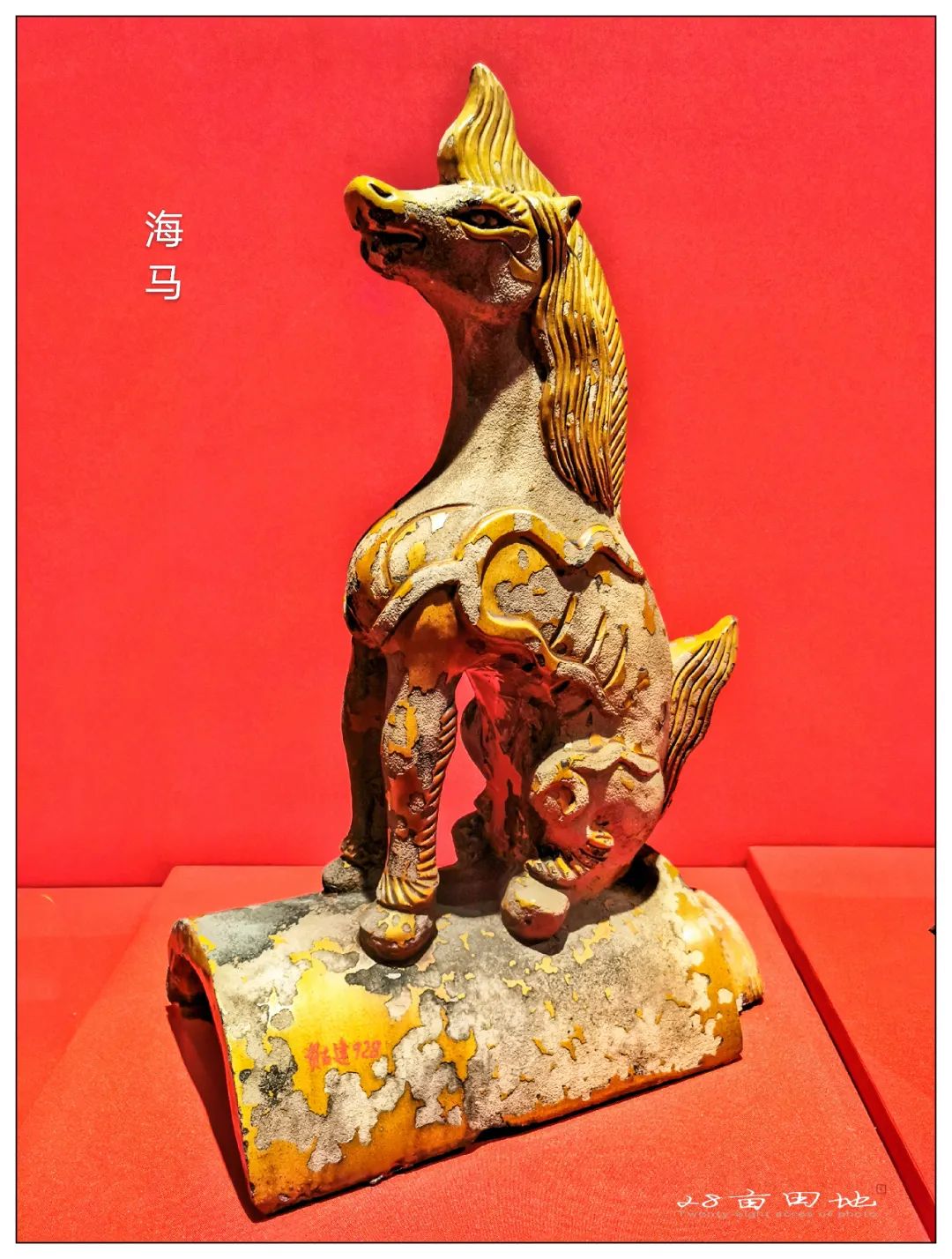 故宫600年-丹宸永固