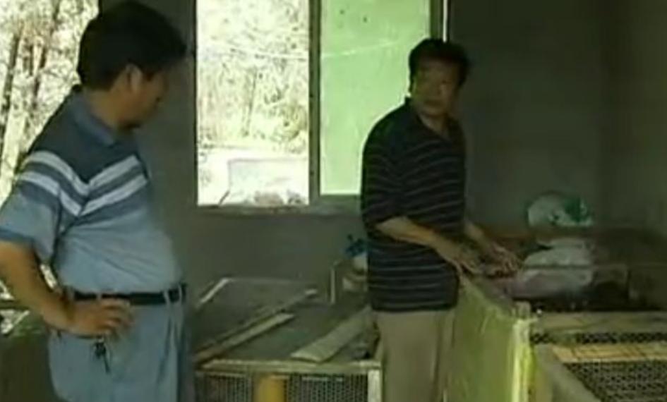 四川富翁刘文均：百万家产给前妻自己住进深山，养黑鸡年入400万