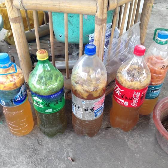 塑料养花小桶,塑料桶养花种菜