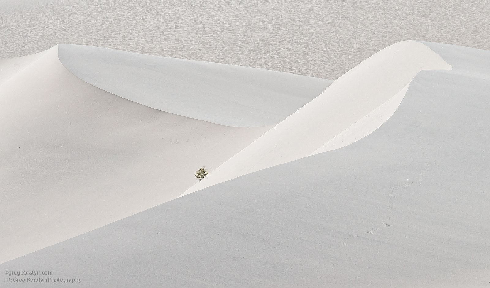 摄影五大景别简单介绍,风景摄影深度解析