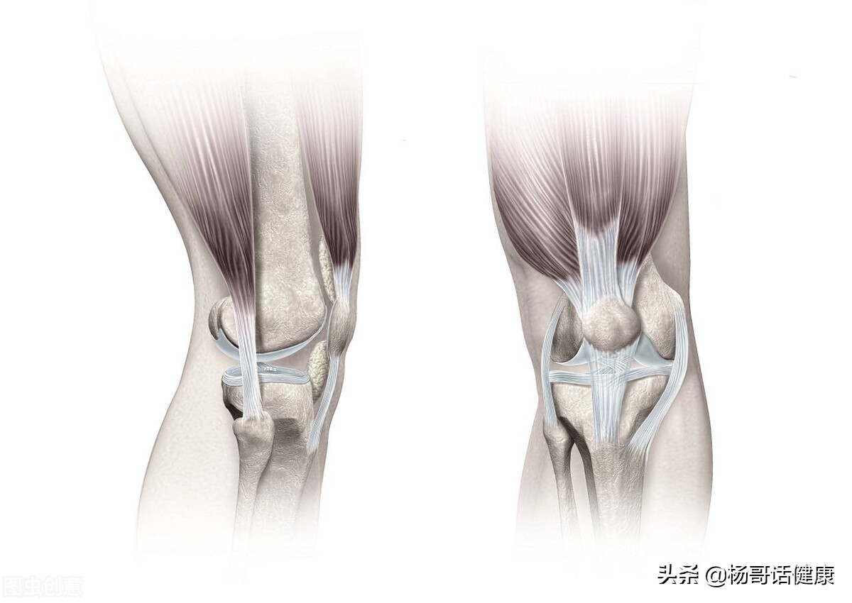 半月板和髌骨磨损怎么办,如何保护半月板和髌骨