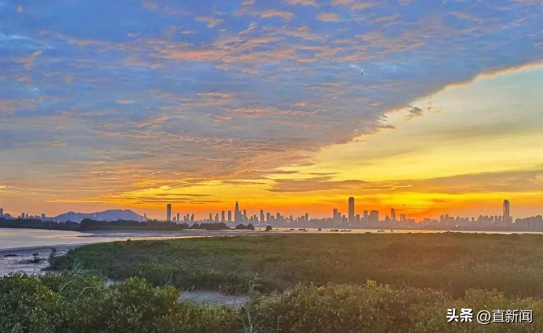 帕森斯设计学院服装设计,帕森斯设计学院采访