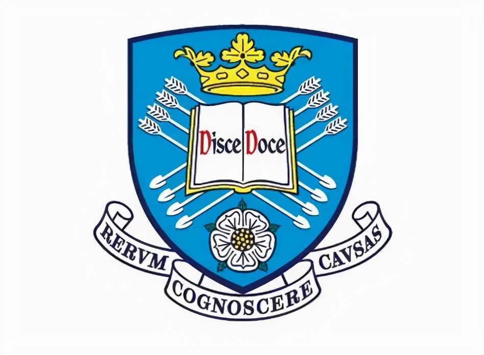 英国商科硕士,英国留学专业鄙视链