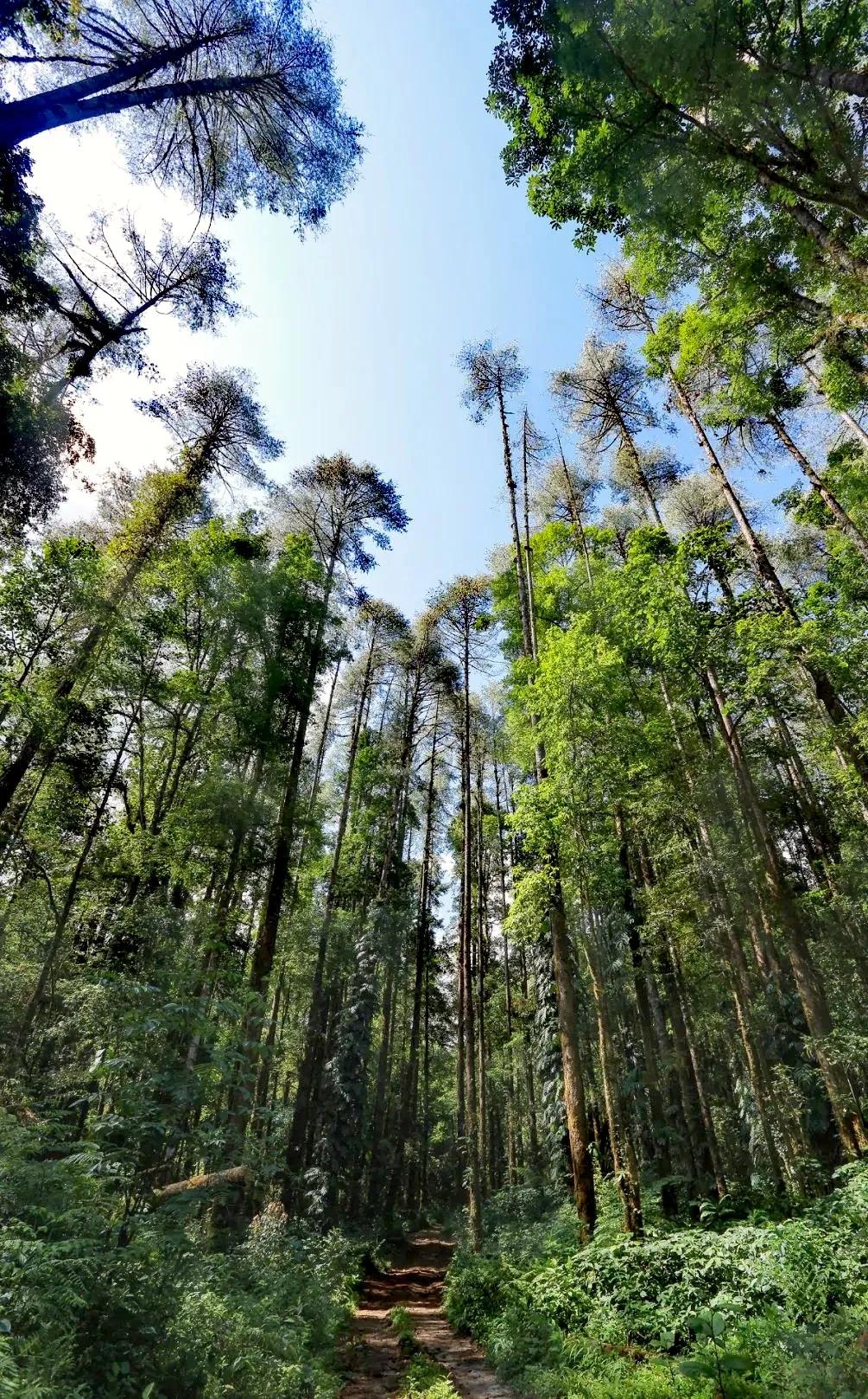 致敬墨脱的军人,不舍西藏墨脱退伍老兵泪别边关