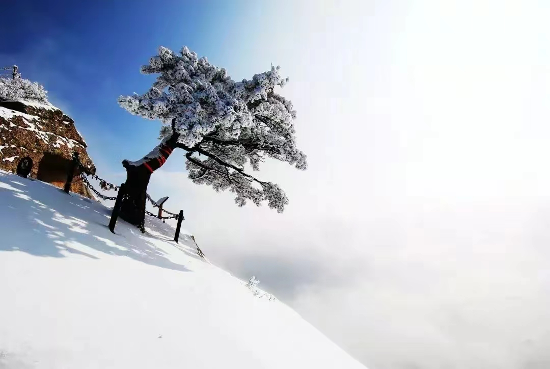 春节华山旅游景点有哪些,华山春节自由行旅游攻略三日游