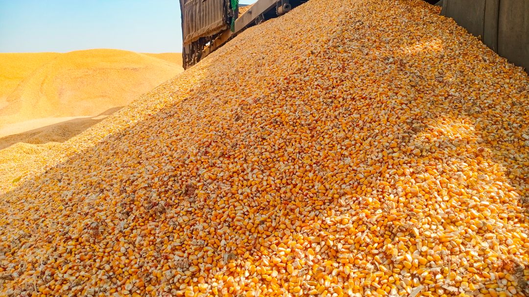 按下加速键吹响冲锋号,按下提速键