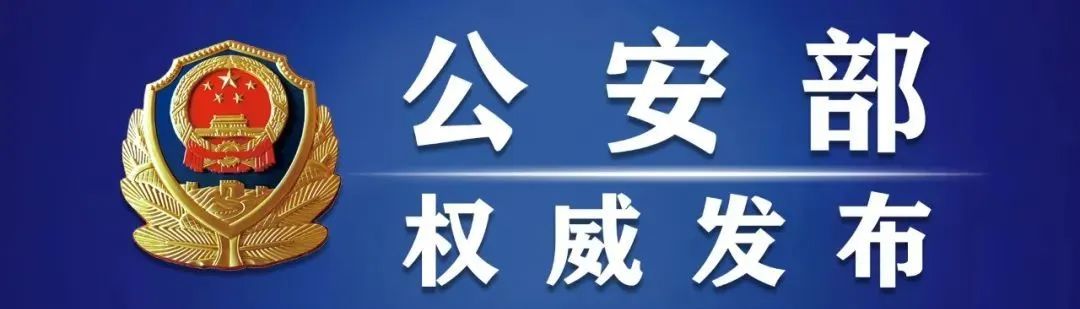 打击涉网黑恶犯罪罪名大全,网民行为