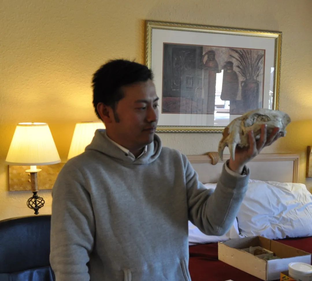 虎年的虎：我从哪里来，要到哪里去？