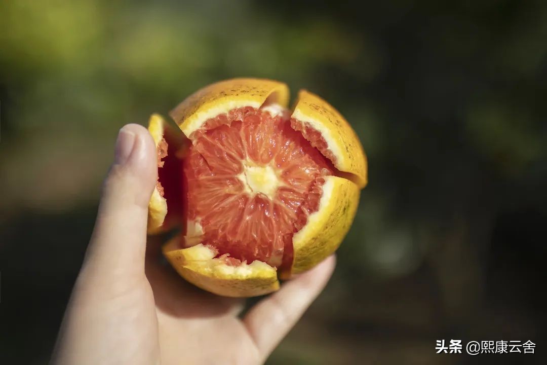 来滇南“打边炉”，悬崖之巅烤橙子