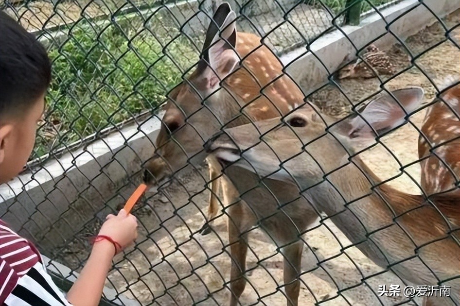 淄博市喊话,淄博市沂源县喊话